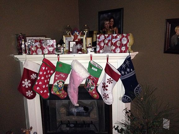 Main Living Room Fireplace