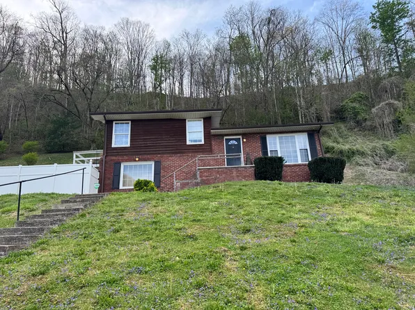 514 Cracker Bottom Rd, Martin, KY 41649
