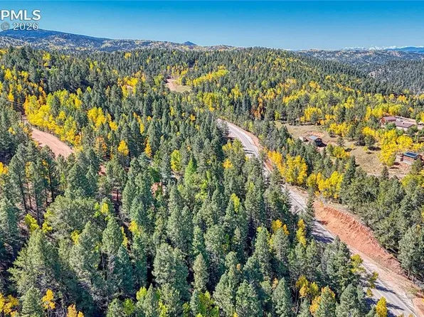 959 Calcite Dr, Divide, CO 80814