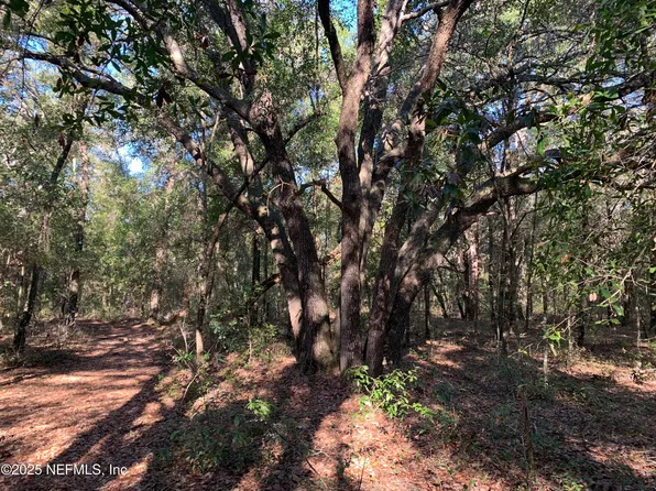 000 BADEN POWELL Road, Hawthorne, FL 32140