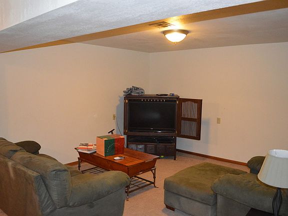 Basement living area : This is a living area in the basement. It is large and spacious.