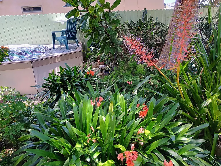 Front Garden