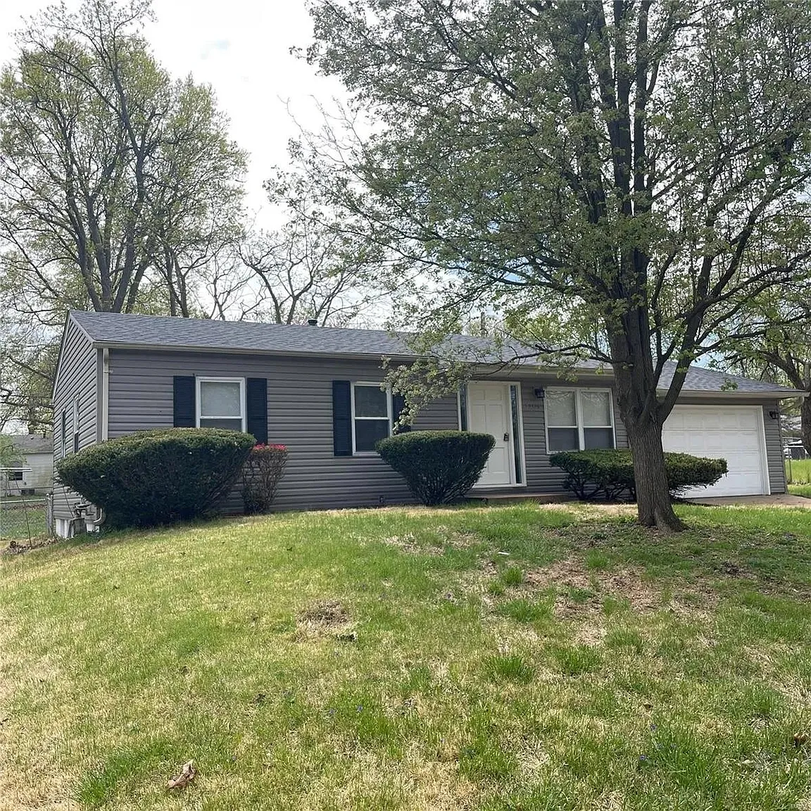 12370 Pinta Dr photo 1