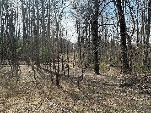 33rd image of this home