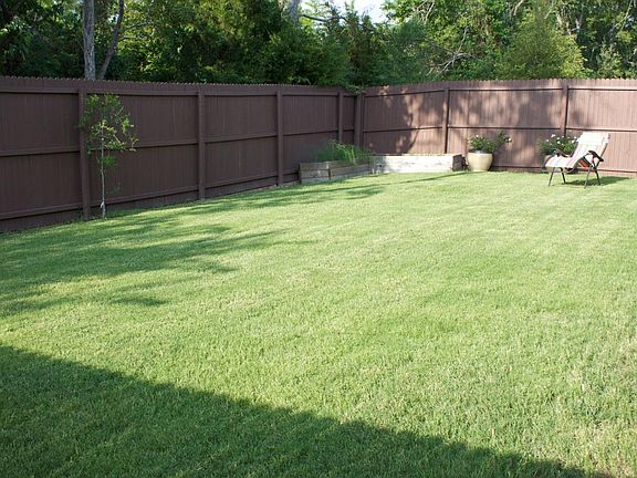 Backyard photo b
