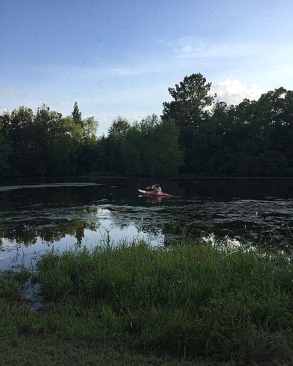 2nd image of 38132 Mike Fisher Rd