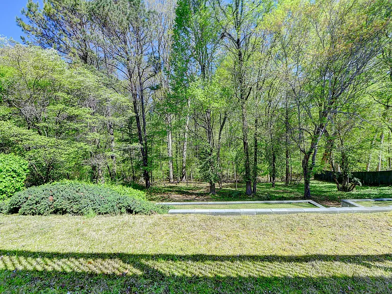 Lush green backyard leading to creek