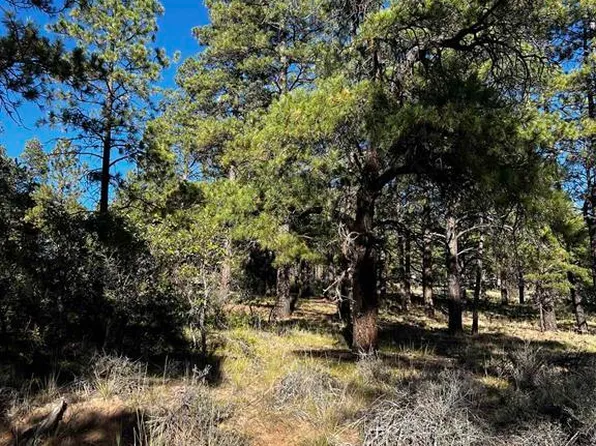 1601 West View Road, Pagosa Springs, CO 81147