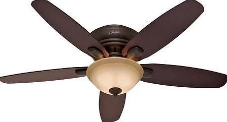 2 - 52 inch Hunter fans in each unit Springbrook Apartment H