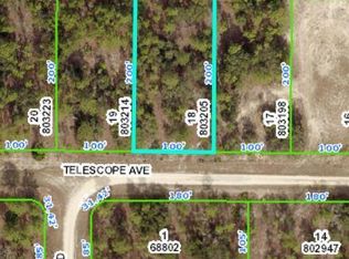 12233 Telescope Ave, Weeki Wachee, FL 34614