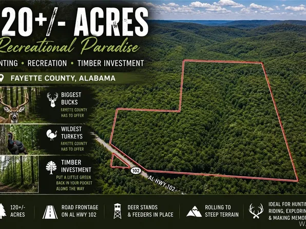 0 Highway 102, Carbon Hill, AL 35549