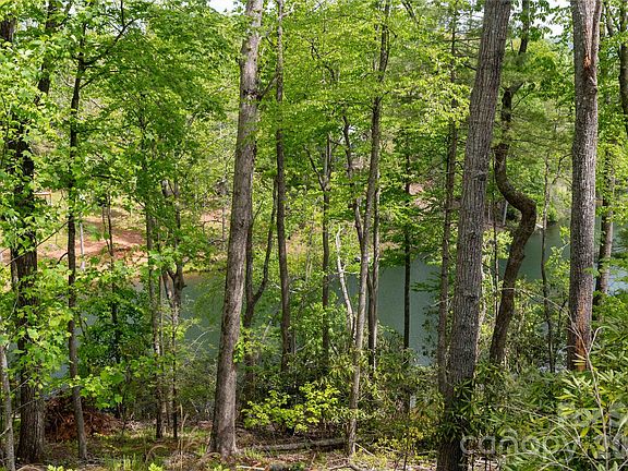 5th image of 0 Deer Park Lake Rd