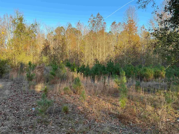TBD Kemper Church Rd., Lake View, SC 29563