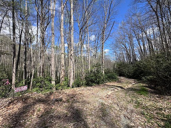 2nd image of Red Clover Rd