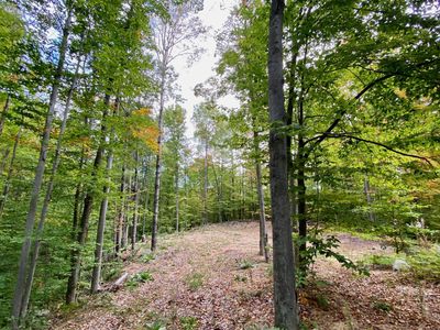 15100 & 15 Rue Du Chevreuil, Wolverine, MI, 49799