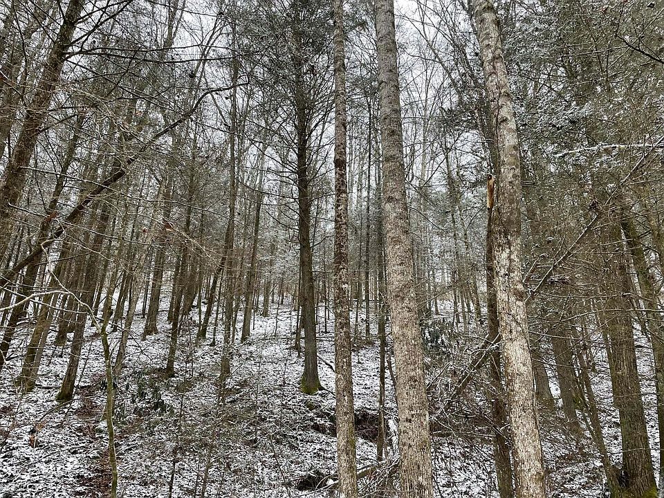 2nd image of Highway 742