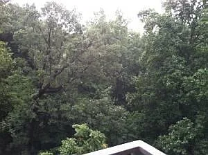 3883 Connecticut Ave NW — Photo 5
