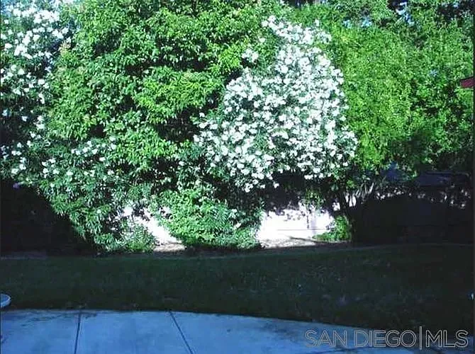 752 Anderson Rd — Photo 10