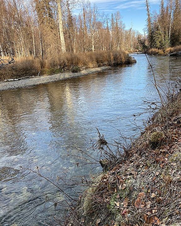 2nd image of 241 W Schrock Rd