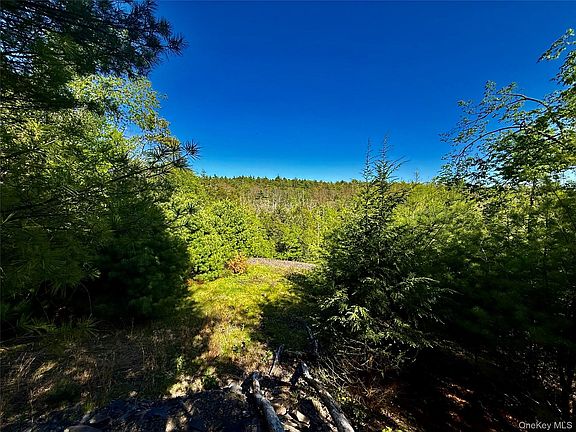 3rd image of 101 Stone Road