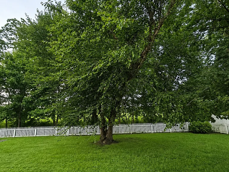 106 Pleasant Dr — Photo 16