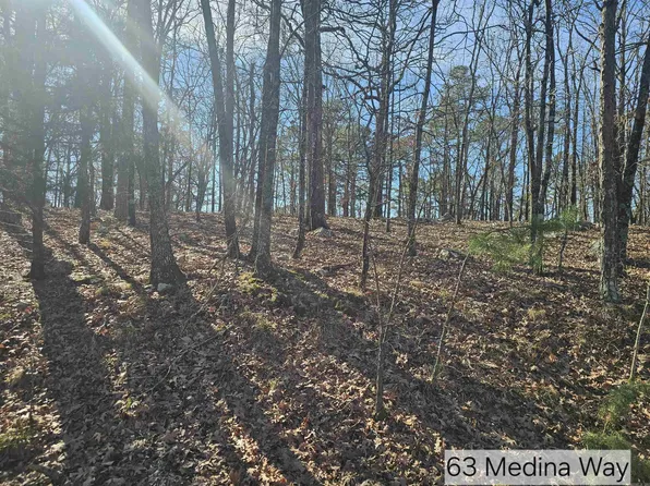 63 Medina Way, Hot Springs Village, AR 71909