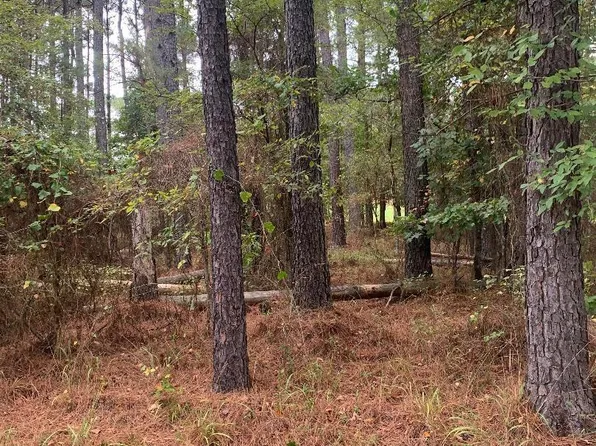 10 Poema Ln, Hot Springs Village, AR 71909