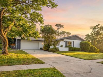 1434 Red Oak Dr, Tarpon Springs, FL, 34689