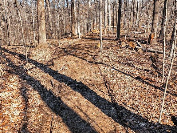 4th image of 7594 Shilo North Rd