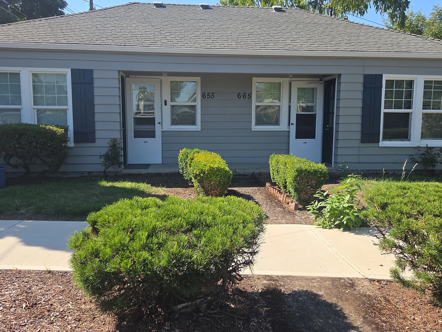 1 bed, 503 sqft, $1,300 — Photo 1