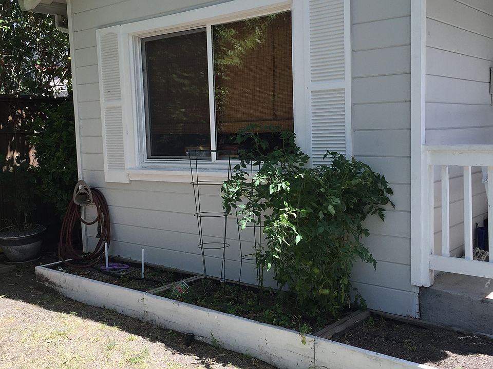 1st image of 223 Park St #225