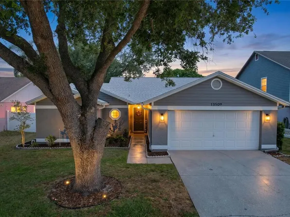 13509 Fawn Ridge Blvd, Tampa, FL 33626