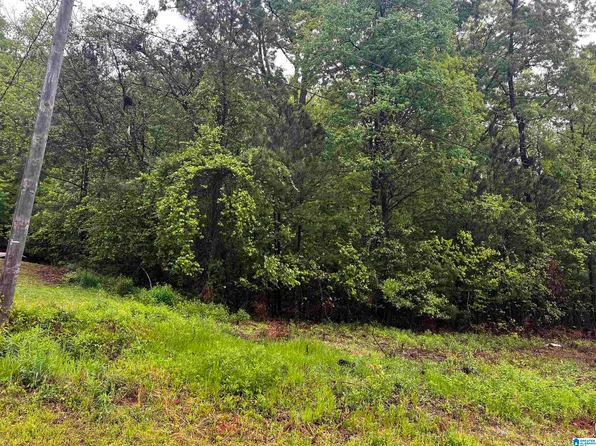 LOT 6 Cason Ln #8, Cropwell, AL 35054