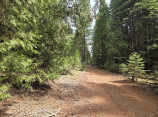 LOT 28&29 Emerald Way, Shingletown, CA 96088