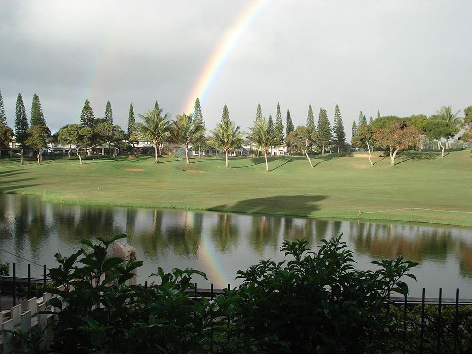 View from the backyard