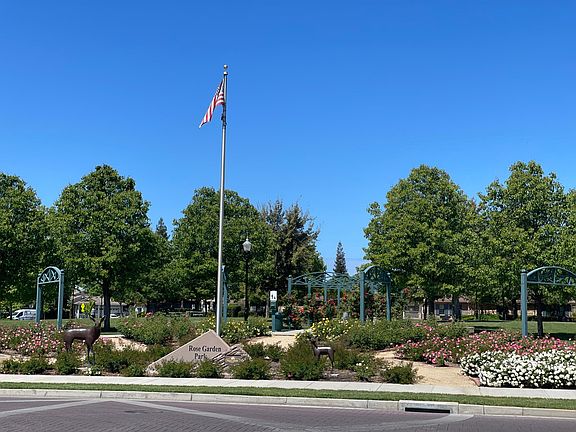 Rose Garden opposite the house