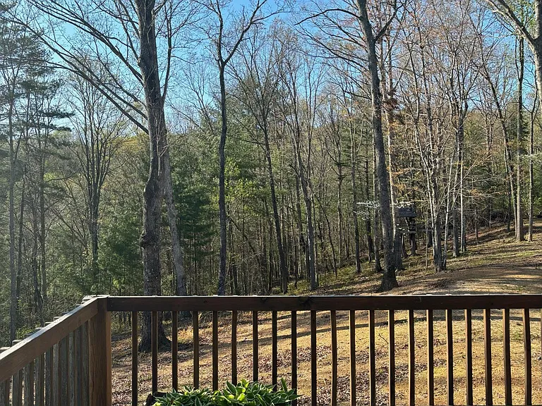 407 Soloman Hollow Rd — Photo 4