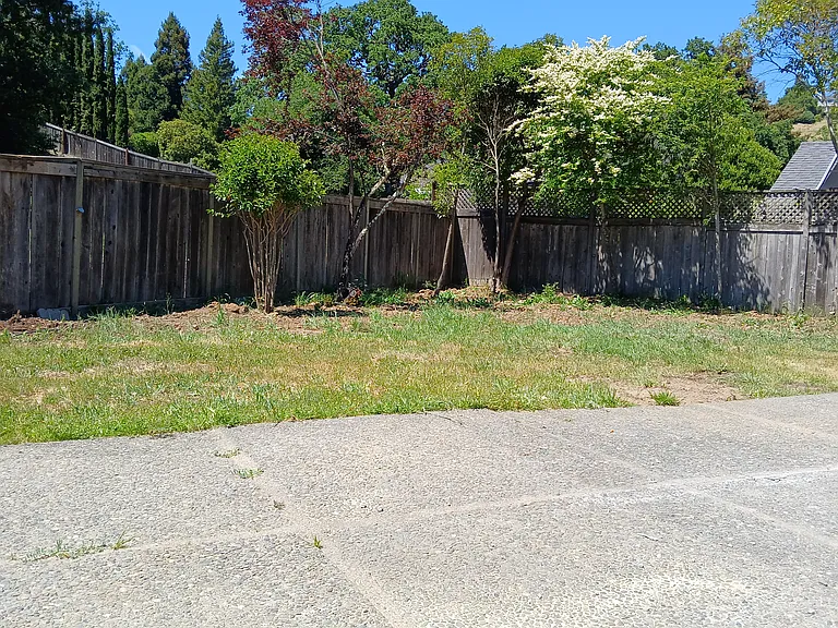 15 Carmel Dr — Photo 8