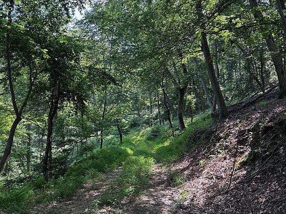 3rd image of Cushion Peak Rd