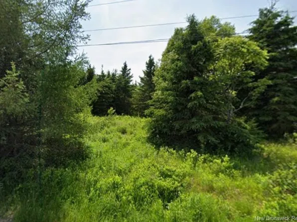 LOT Head North Rd, Pennfield, NB E5H 1X5