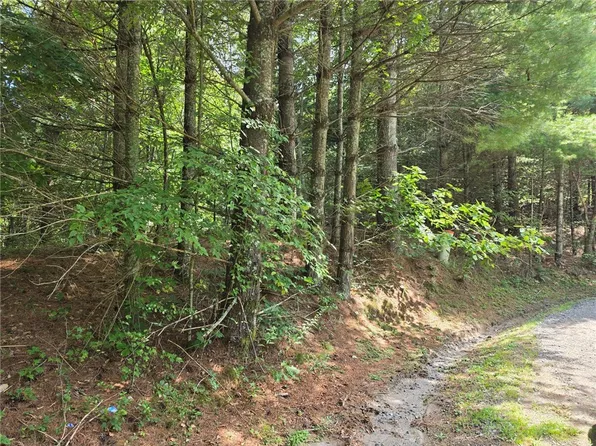 Lot 78 Green Meadows, Todd, NC 28684