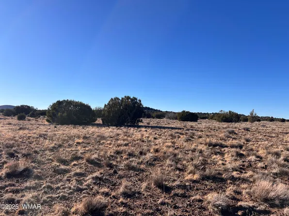 14 N3111, Vernon, AZ 85940