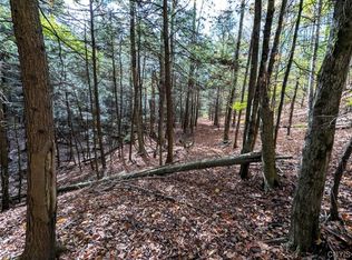 Akins Rd, Cohocton, NY 14826