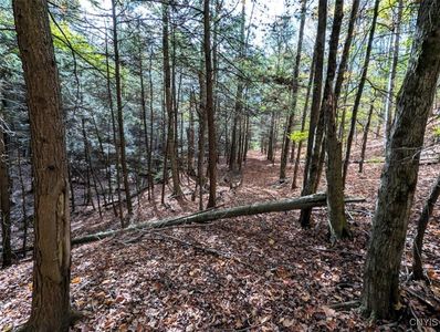 Akins Rd, Cohocton, NY, 14826