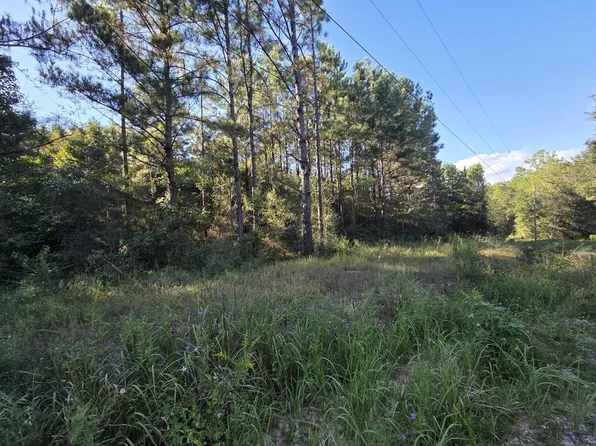 Nhn Redfish Rd Parcel 5, Poplarville, MS 39470