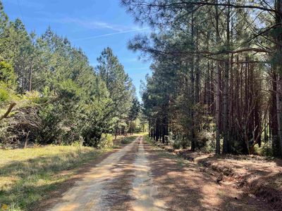 498 Ellesworth Dr, Statesboro, GA, 30461