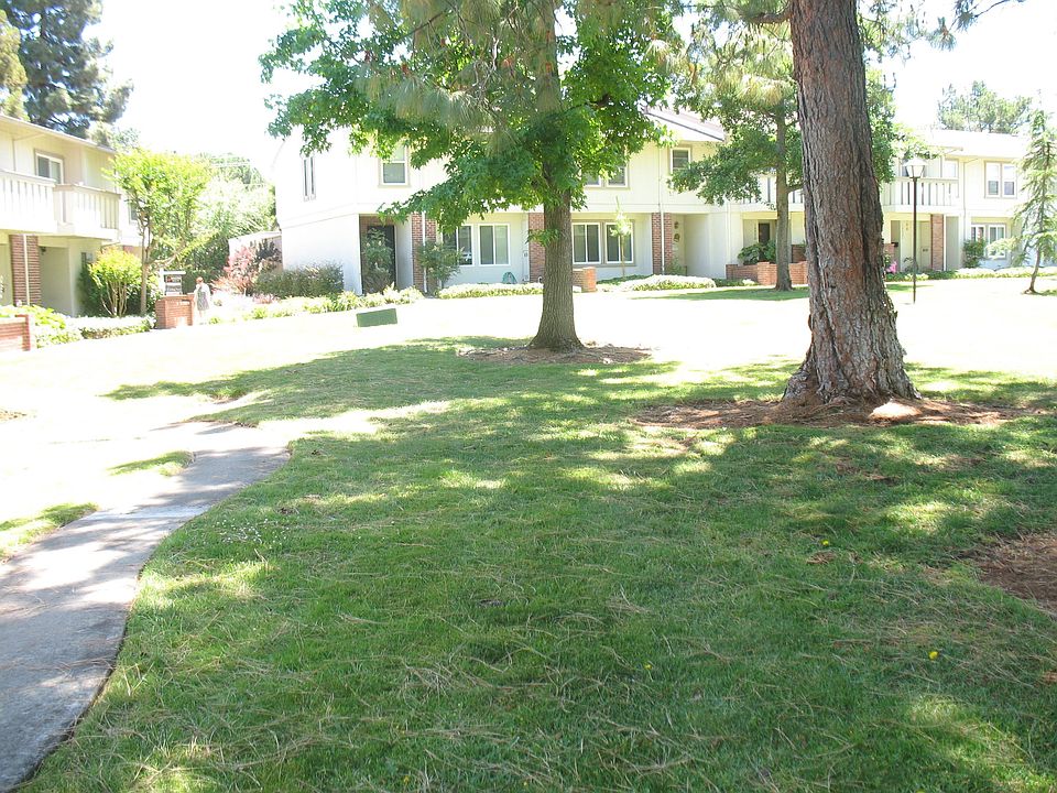 Parklike Environment