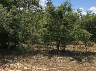 9592 N Lily Dr, Citrus Springs, FL 34434