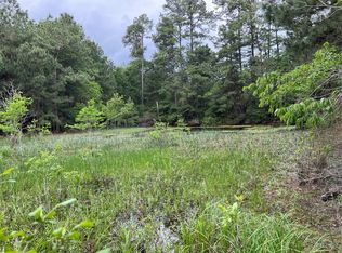 TRACT 2 English Rd, Bedias, TX 77831