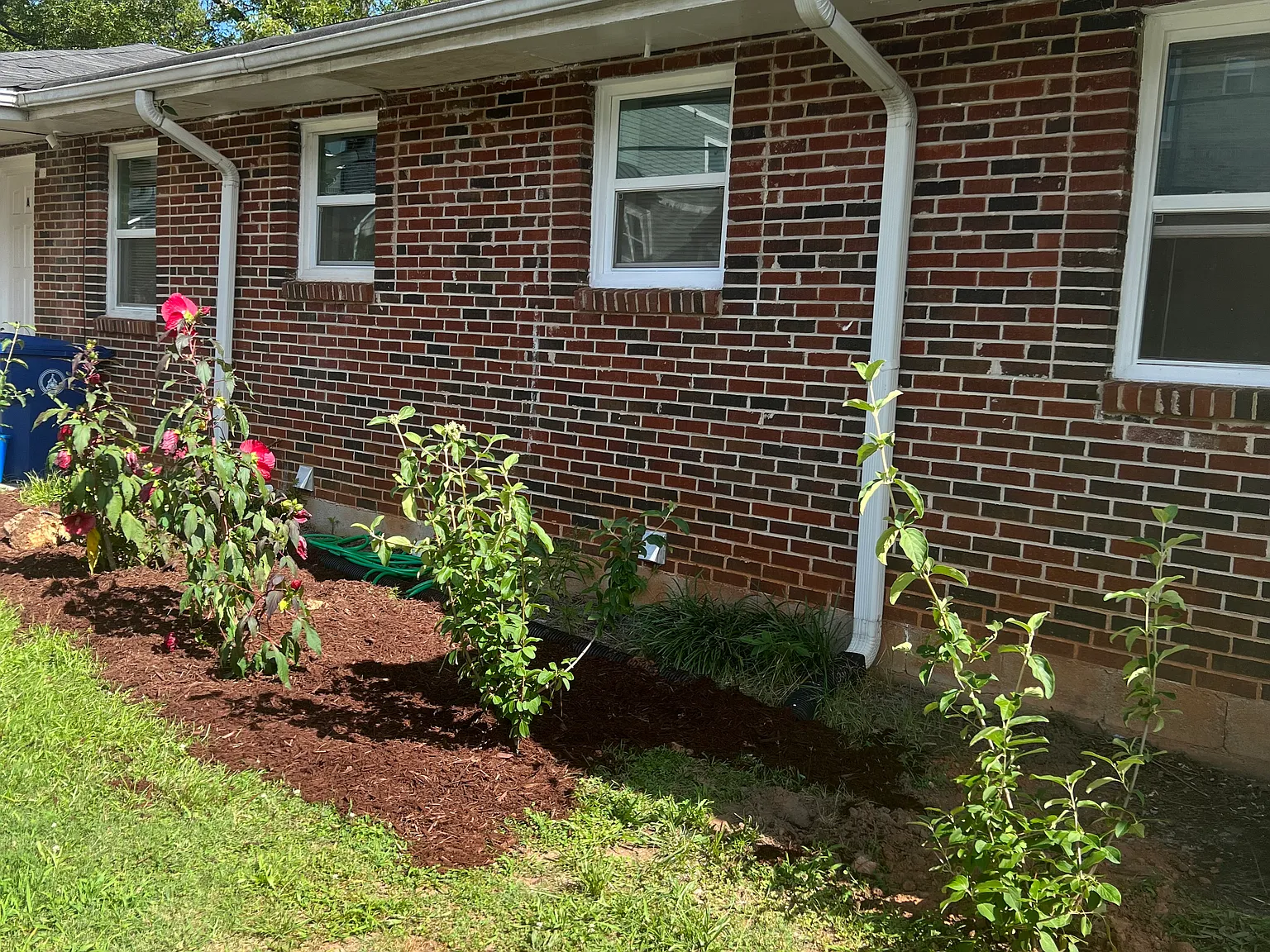 305 W Oak Street — Photo 2